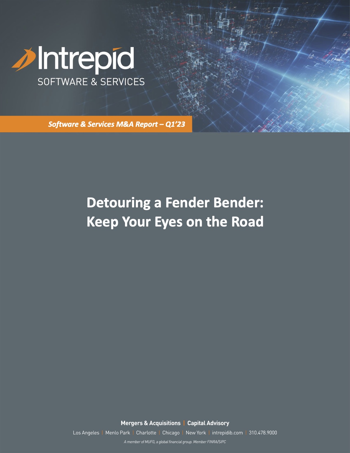 IIB Software And Services Newsletter Q1 2023 VF PDF cover