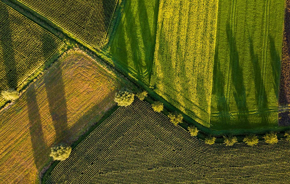 Creso Capital Partners Advises Unix Packaging and Western Group Packaging on Its Growth Investment from Cyprium Partners featured image